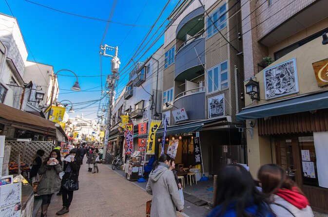 The Old Quarter of Tokyo - Yanaka Walking Tour - Key points to know before you book