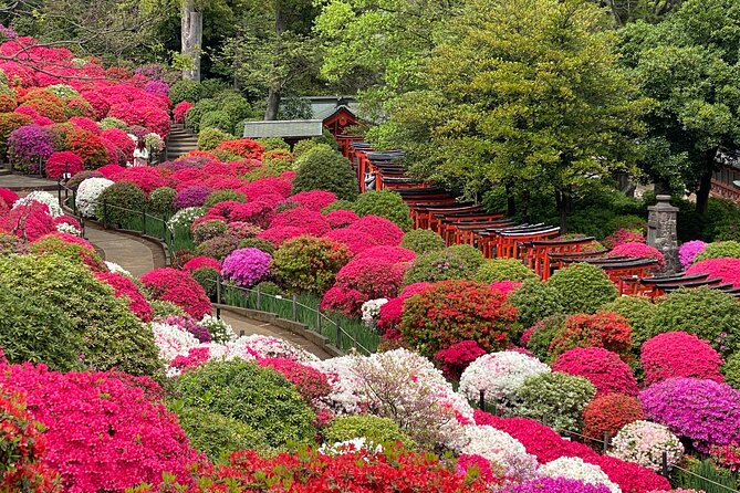 The Old Quarter of Tokyo - Yanaka Walking Tour - Hebimichi and the ordinary streets of Yanaka