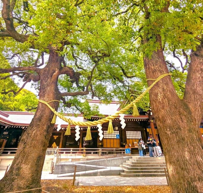 This is Real TOKYO!! SHIBUYA Tour from TGP!! - Omotesando and Meiji Shrine