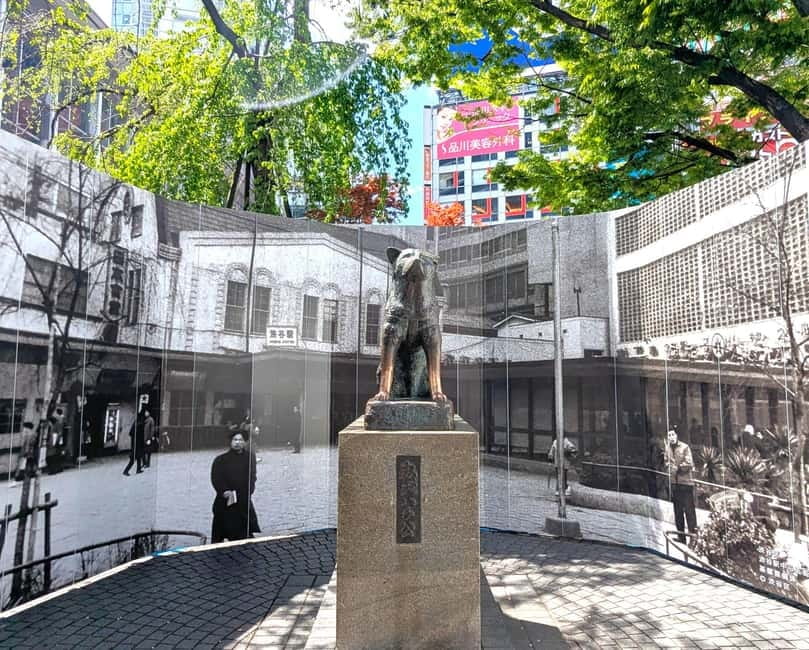 This is Real TOKYO!! SHIBUYA Tour from TGP!! - Guide style and the personal touch