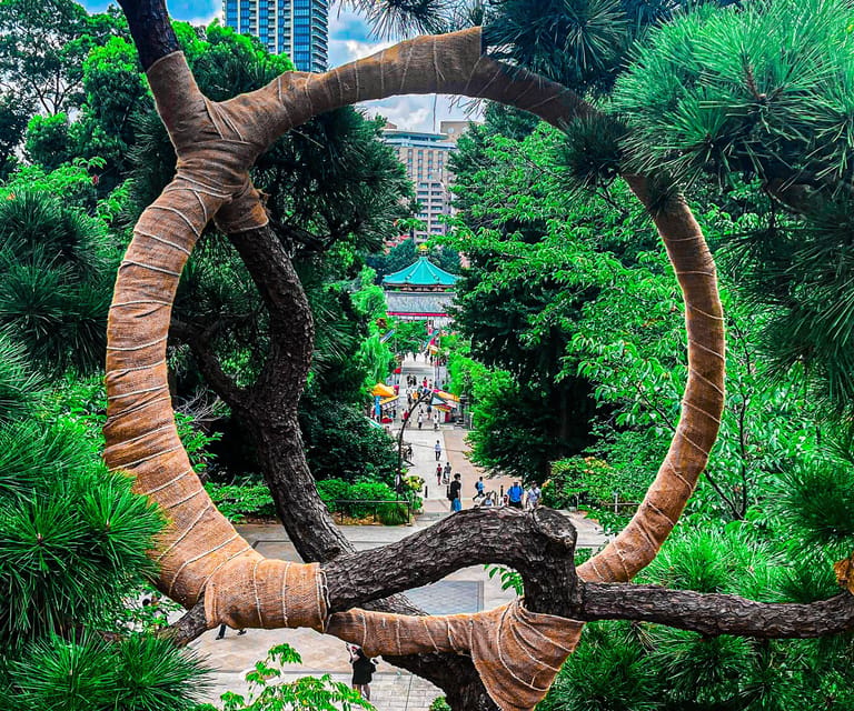 Tokio A: Tour de la ciudad en Español - Spanish - Key points at a glance