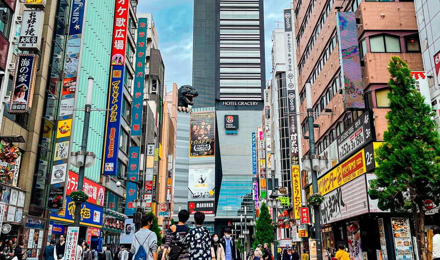 Tokio A: Tour de la ciudad en Español - Spanish - Ueno Park and Ameyoko: two sides of the same district