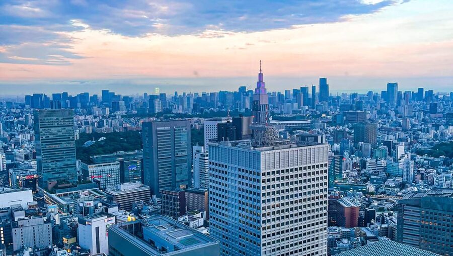 Tokio A: Tour de la ciudad en Español - Spanish - Shinjuku: the city from above