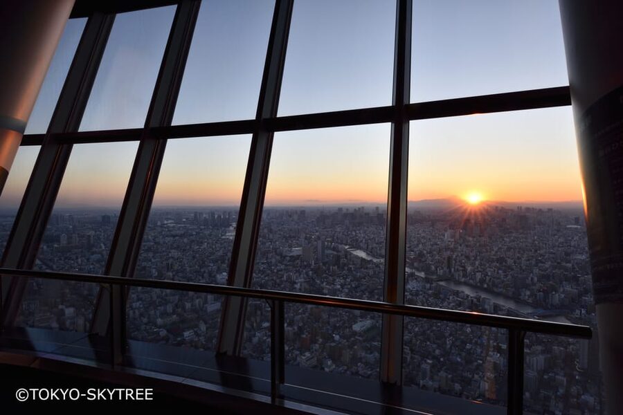 Tokyo: 1 Day Bus Tour with Meiji-Jingu,Odaiba,lunch&Skytree - One bus, five very different Tokyo experiences