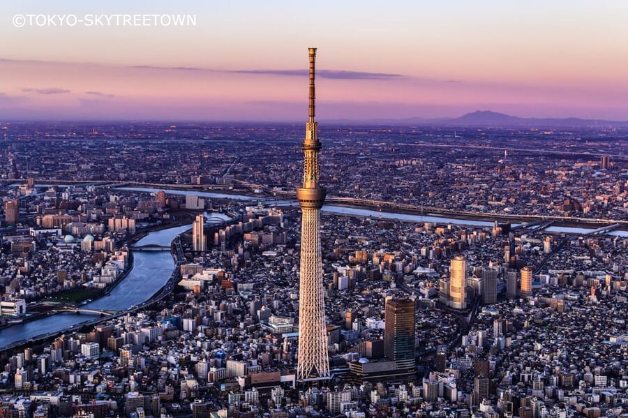 Tokyo: 1 Day Bus Tour with Meiji-Jingu,Odaiba,lunch&Skytree - Meiji Shrine: quiet woods in the middle of the city