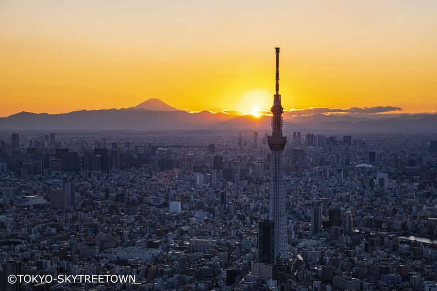 Tokyo: 1 Day Bus Tour with Meiji-Jingu,Odaiba,lunch&Skytree - Odaiba: Tokyo’s futuristic waterfront
