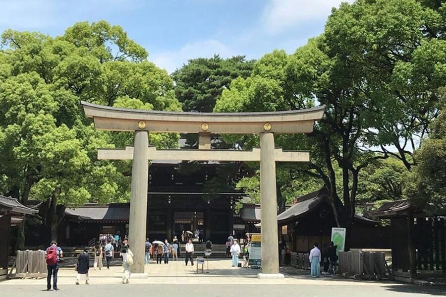 Tokyo: 1 Day Bus Tour with Meiji-Jingu,Odaiba,lunch&Skytree - Who gets the most value from $83