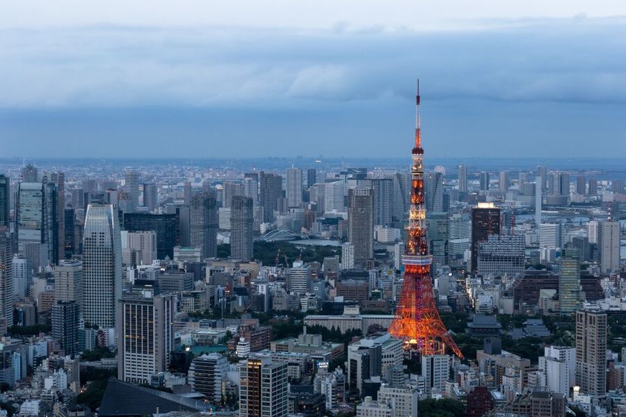 Tokyo: 1-Day Private Customizable Tour by Car - A smart way to cover far-flung Tokyo