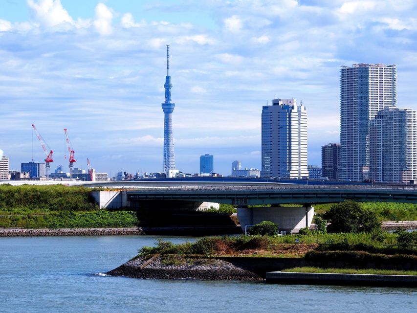 Tokyo: 1-Day Private Customizable Tour by Car - The Imperial Palace stop is mainly an exterior visit