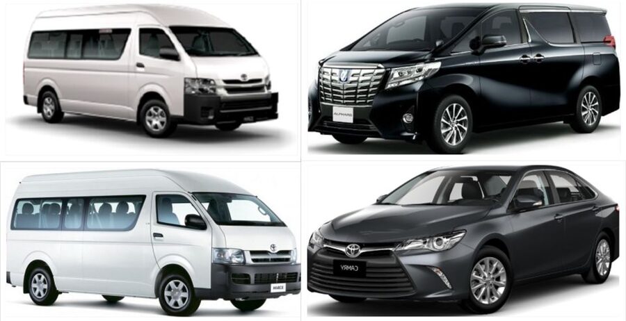 Tokyo: 1-Day Private Customizable Tour by Car - Tsukiji Market starts the day with food and energy