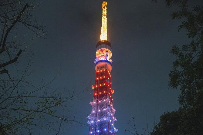 Tokyo 2-Day Private Walking Tour with Licensed Guide - What the guide adds to the experience
