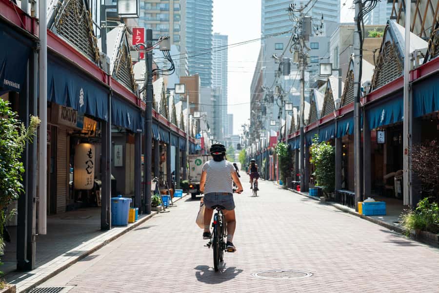 Tokyo: 3-hour Guided E-Bike Tour of the City's Hidden Gems - What the guides add to the ride