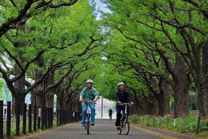 Tokyo: 3h Private E-bike Tours, Starting at Your Hotel - Key points to know before booking
