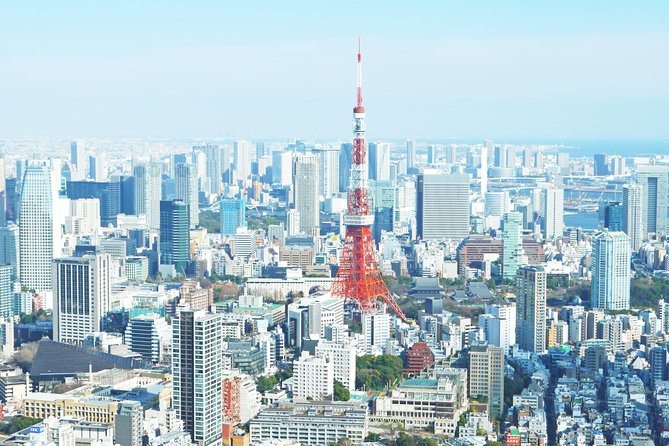 Tokyo 6 hours Customized Private Tour - Who should book this experience