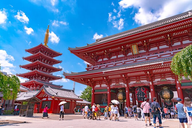 Tokyo 6hr Instagram Highlights Private Tour with Licensed Guide - Shibuya Crossing and Hachiko: the city in motion