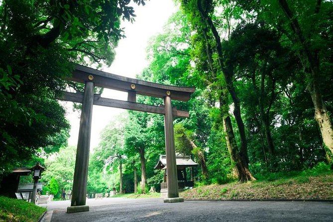 Tokyo 6hr Private Tour with Government-Licensed Guide - Shinjuku Gyoen: a quiet break from the city