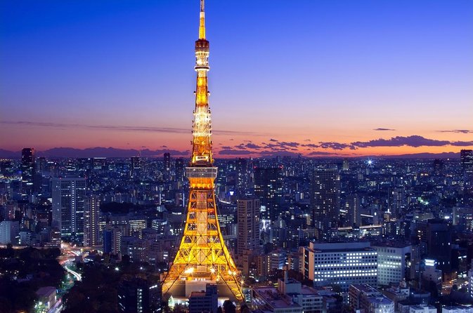 Tokyo 8hr Private Tour with Government-Licensed Guide - Key points before you book