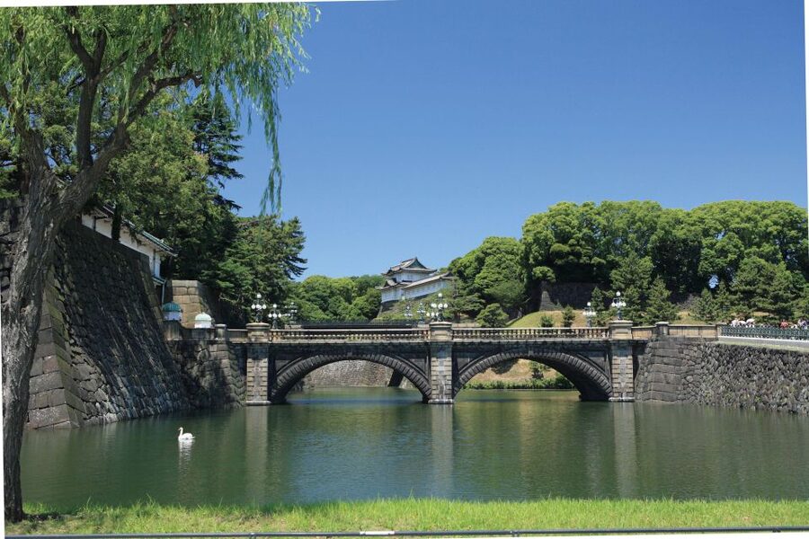 Tokyo: A Half-Day Trip Bus Tour in the Morning - Boarding near Shinjuku or Tokyo Station