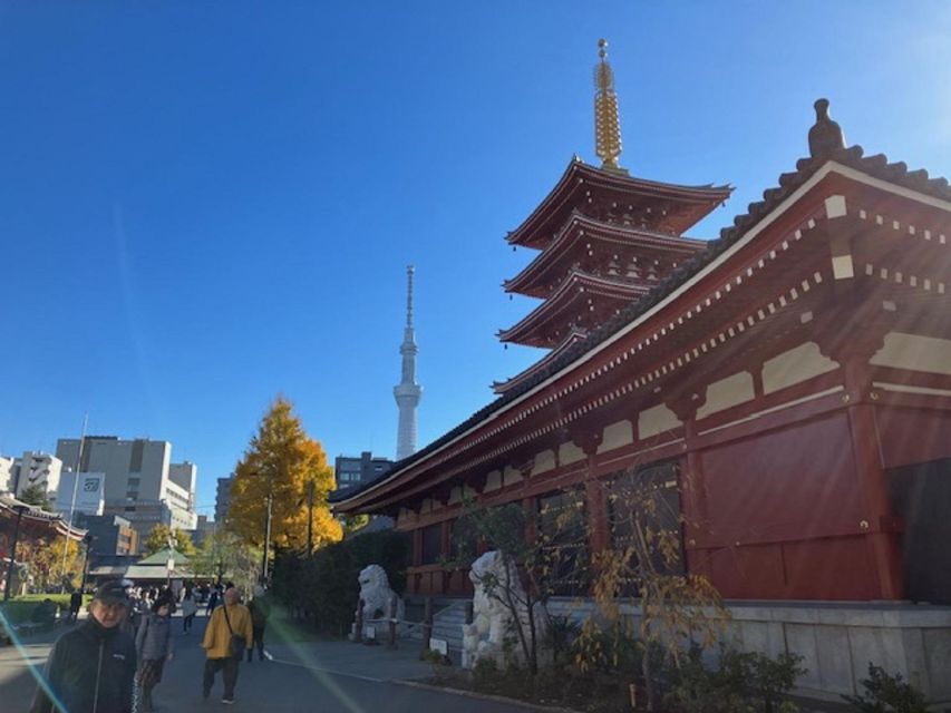 Tokyo: A Half-Day Trip Bus Tour in the Morning - Comfort, access, and booking details that matter