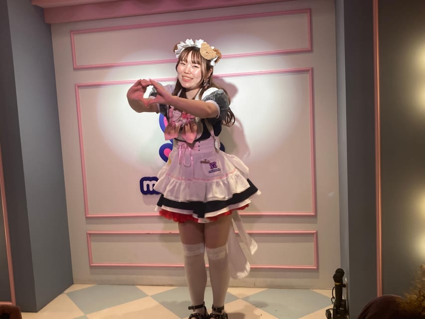 Tokyo Akihabara, Anime, Manga, Video Games & Maid Cafe Tour - Gee store and specialist shopping