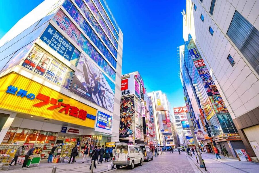 Tokyo Akihabara Anime walking tour & Maid Cafe option - Hunting for bargains at Surugaya