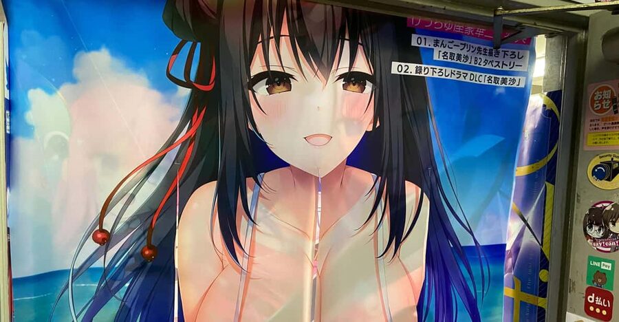 Tokyo: Akihabara Private Hentai Tour - Akihabara beyond the neon signs
