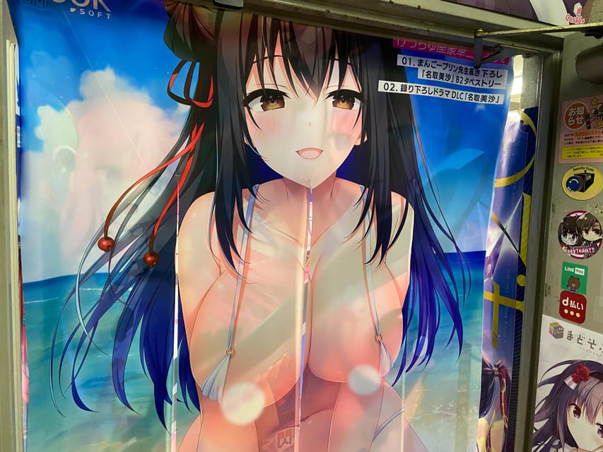 Tokyo: Akihabara Private Hentai Tour - Understanding hentai without making the tour awkward