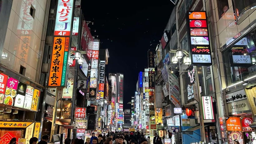 Tokyo: Akihabara, Shibuya, Karaoke & City Lights Night Tour - Ueno Park after sunset