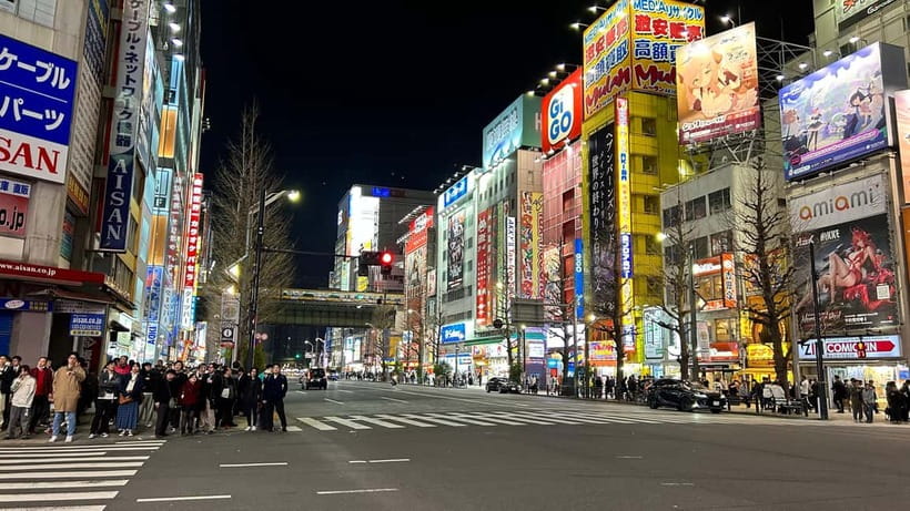 Tokyo: Akihabara, Shibuya, Karaoke & City Lights Night Tour - Karaoke in a private room