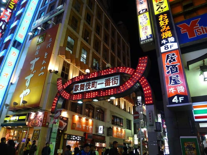 Tokyo: Akihabara, Shibuya, Karaoke & City Lights Night Tour - Guides and language choices
