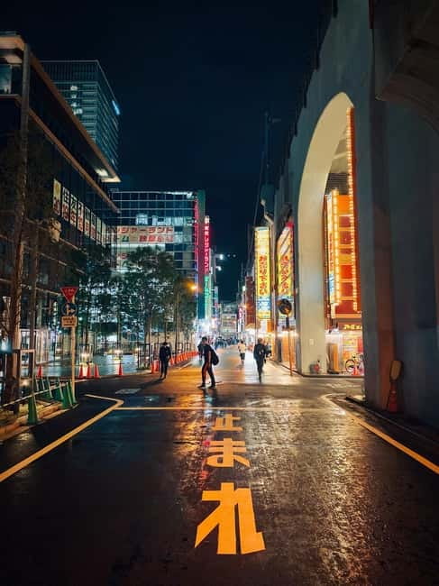 Tokyo: Akihabara, Shibuya, Karaoke & City Lights Night Tour - What the $79 price really covers