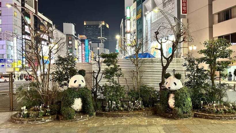 Tokyo: Akihabara, Shibuya, Karaoke & City Lights Night Tour - Meeting the guide near Ueno Station