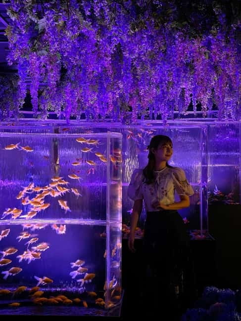 Tokyo: Art Aquarium Museum GINZA Entry Ticket - The aquarium displays and seasonal design