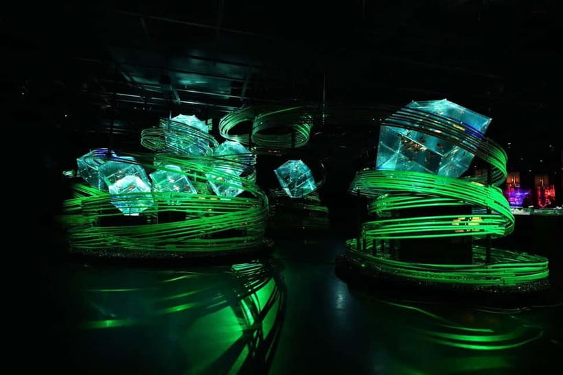 Tokyo: Art Aquarium Museum GINZA Entry Ticket - Why photography is such a big part of the visit