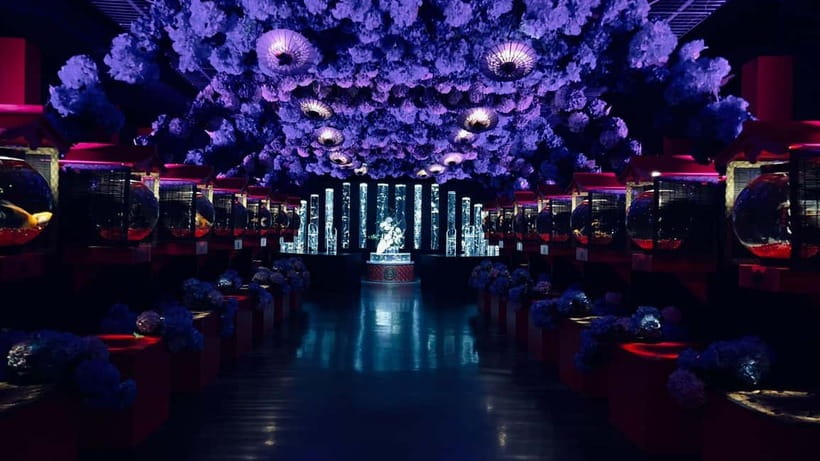 Tokyo: Art Aquarium Museum GINZA Entry Ticket - Is $17 a fair price for an hour?