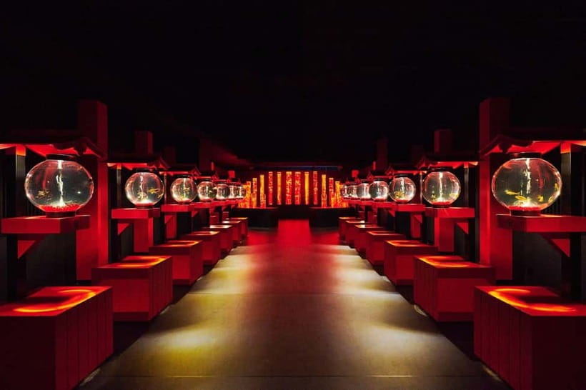 Tokyo: Art Aquarium Museum GINZA Entry Ticket - How to fit it into a Ginza day