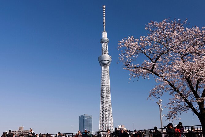Tokyo Asakusa Half Day Walking Tour with Local Guide - Nakamise Shopping Street: snacks, fans, and souvenir browsing