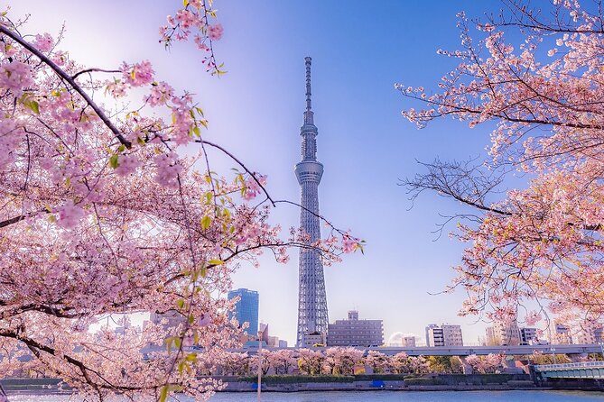 Tokyo Asakusa Half Day Walking Tour with Local Guide - Monja-yaki lunch is a separate expense