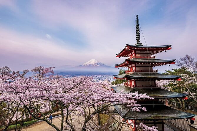 Tokyo: Asakusa Temple & Shrine Walking Tour with Local Guide - Nakamise Shopping Street and the useful side of souvenirs