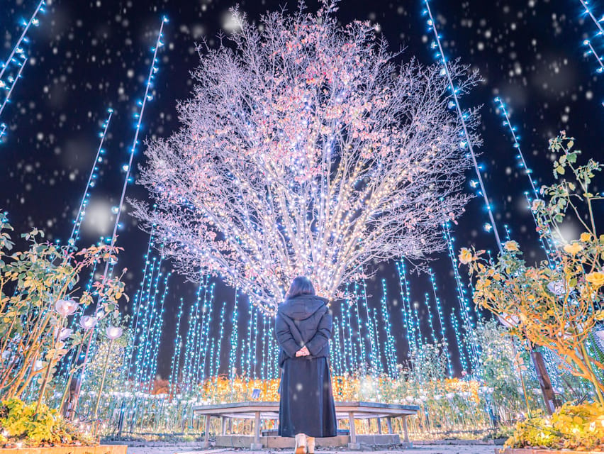 Tokyo: Ashikaga Flower Park with Entry Ticket - Practical details before you reserve