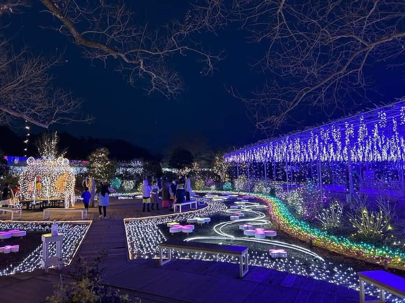 Tokyo: Ashikaga Flower Park with Entry Ticket - The Great Wisteria and the value of seeing it in person