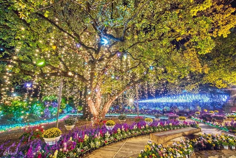 Tokyo: Ashikaga Flower Park with Entry Ticket - How the transport plan works
