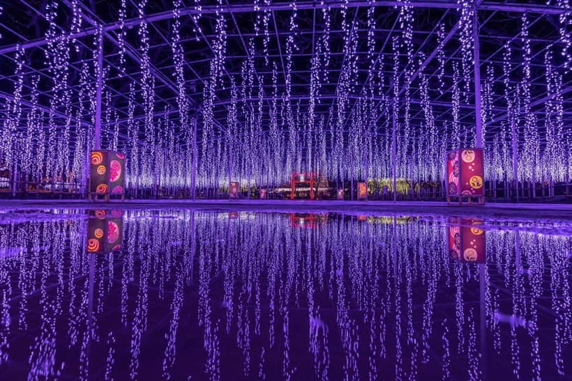 Tokyo: Ashikaga Flower Park with Entry Ticket - Who will enjoy this Ashikaga day trip?