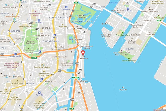 Tokyo Bay Cruise Adventure with options - Who will get the most from this ride