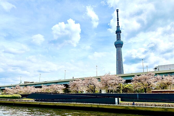 Tokyo Bay Yakatabune Cruise with Traditional JapaneseShow Drinks - A Traditional Yakatabune with Tokyo Outside the Window