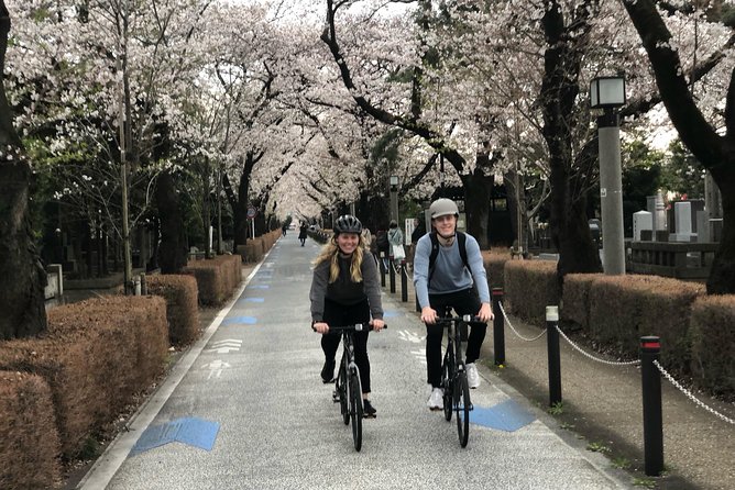 Tokyo Bike Tour: Shibuya & Hidden Tokyo - Shibuya Crossing and Hachiko without wasting the day