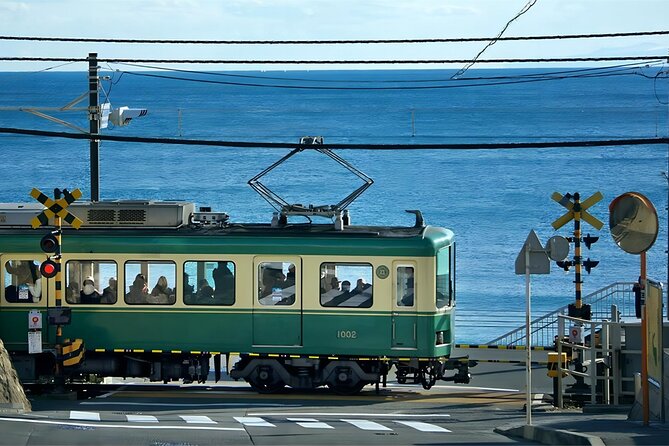 Tokyo: Bus Tour to Kamakura Great Buddha & Enoshima with Pickup - What the driver and guide service is really like