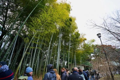 Tokyo Castle & Imperial PalaceーShogun Walking Tour - Starting beside Wadakura Fountain Park
