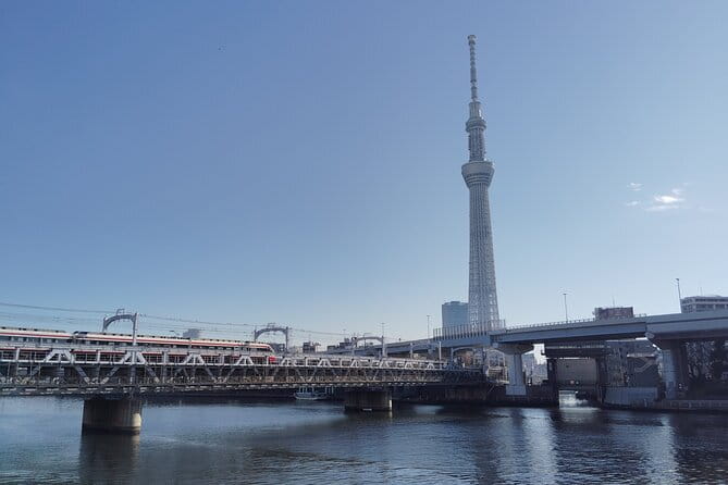 Tokyo Castle & Imperial PalaceーShogun Walking Tour - Edo Castle ruins and the shape of what is gone