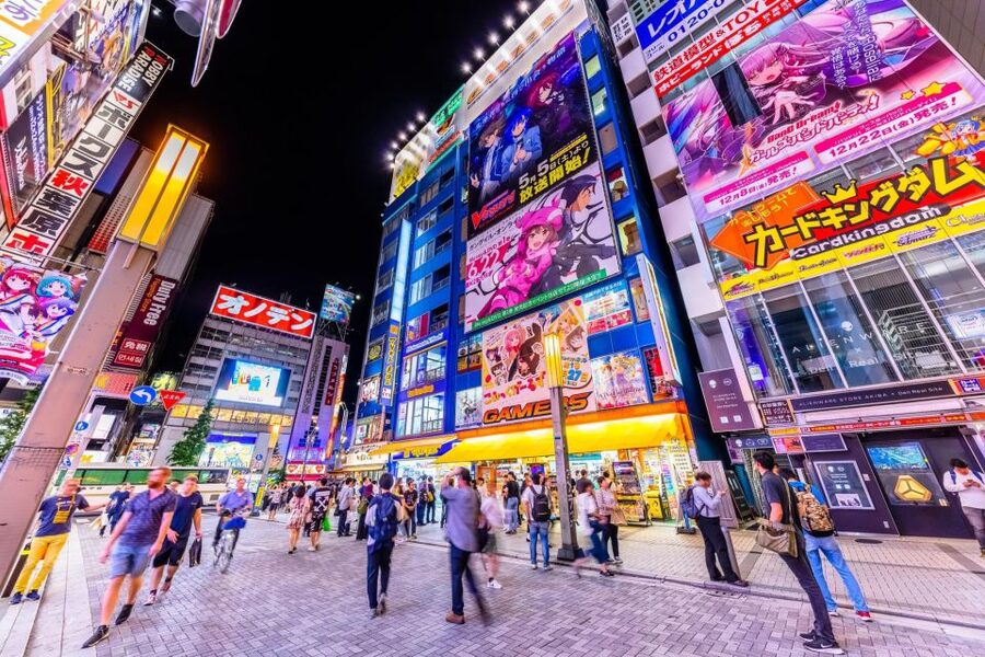 Tokyo:Cherry Blossom Mt Fuji & Shibazakura Festival Day Trip - Key points to know before booking